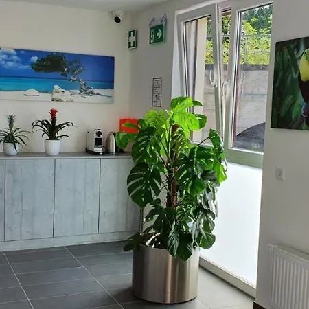 Gasthof New City Rooms